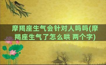 摩羯座生气会针对人吗吗(摩羯座生气了怎么哄 两个字)